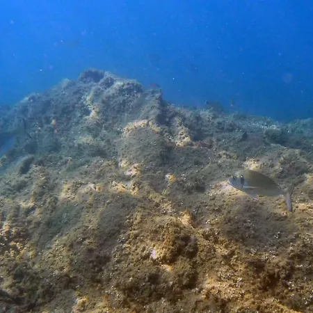 La Quiete * メーレ